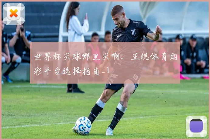 世界杯买球哪里买啊:正规体育购彩平台选择指南_1