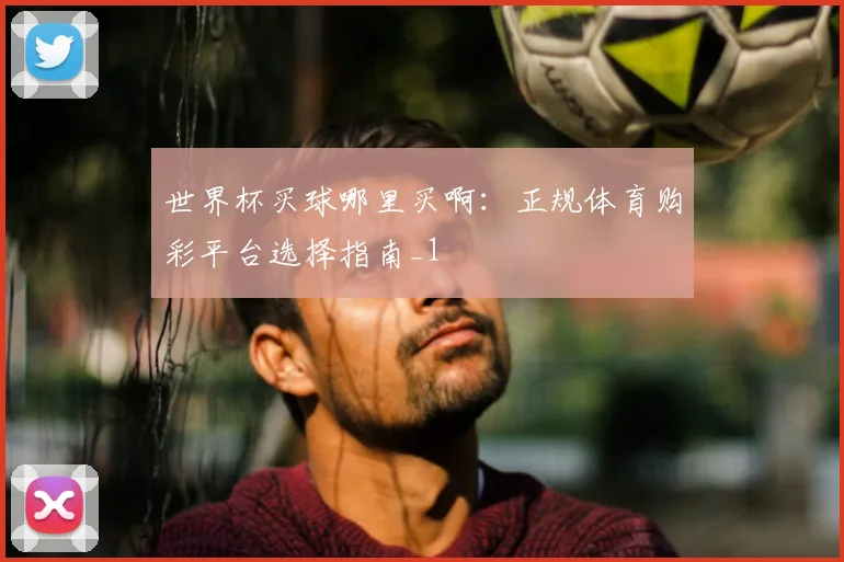 世界杯买球哪里买啊:正规体育购彩平台选择指南_1