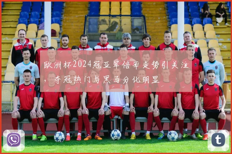 欧洲杯2024冠亚军倍率走势引关注,夺冠热门与黑马分化明显